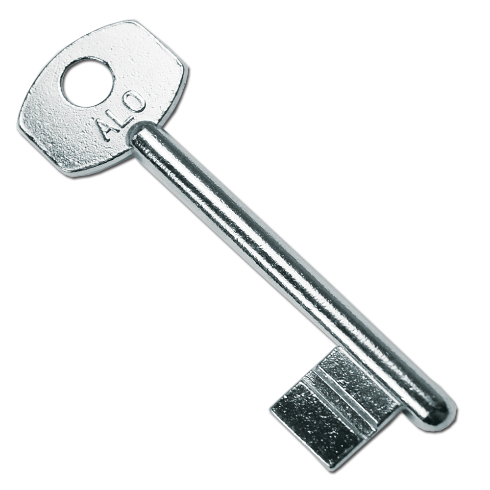 AS11309