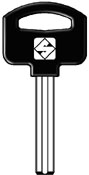 LM5P